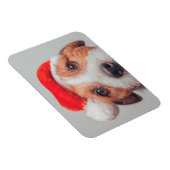 Kutest Baby Animals | Jack Russell Dog Santa Claus Magneet (Rechterzijde)
