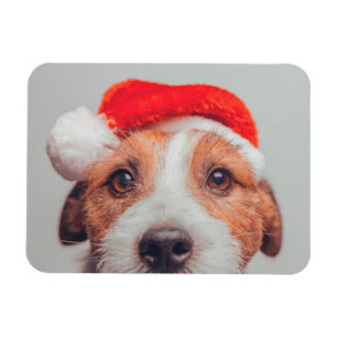 Kutest Baby Animals Jack Russell Dog Santa Claus Magneet