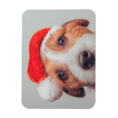 Kutest Baby Animals | Jack Russell Dog Santa Claus Magneet (Verticaal)