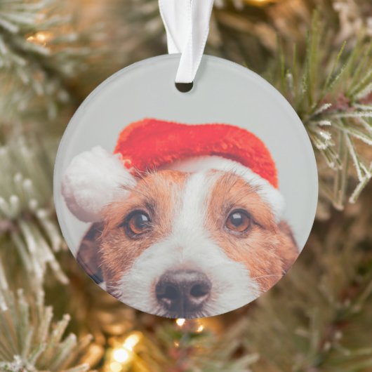 Kutest Baby Animals | Jack Russell Dog Santa Claus Ornament (Boom)