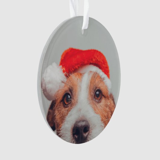 Kutest Baby Animals | Jack Russell Dog Santa Claus Ornament (voorkant)