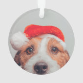 Kutest Baby Animals | Jack Russell Dog Santa Claus Ornament (achterkant)