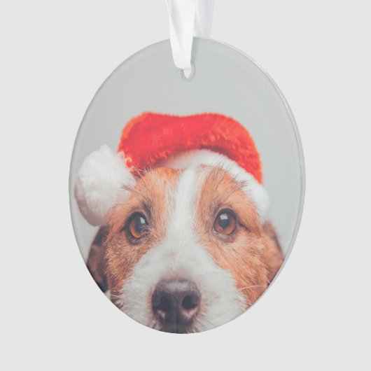 Kutest Baby Animals | Jack Russell Dog Santa Claus Ornament (voorkant)