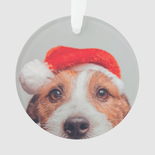 Kutest Baby Animals | Jack Russell Dog Santa Claus Ornament (voorkant)