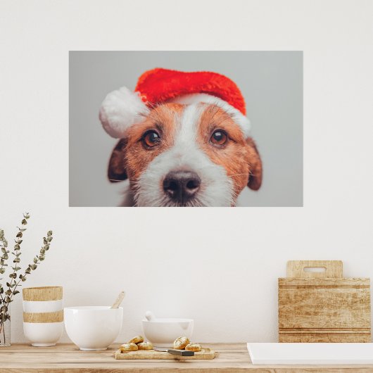 Kutest Baby Animals | Jack Russell Dog Santa Claus Poster (Keuken)
