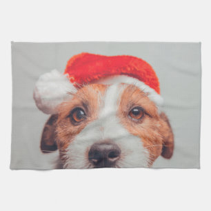 Kutest Baby Animals   Jack Russell Dog Santa Claus Theedoek