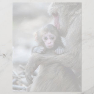 Kutest Baby Animals Japanse aap en Baby