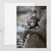 Kutest Baby Animals | Japanse aap en Baby Bedankkaart (Voorkant / Achterkant)