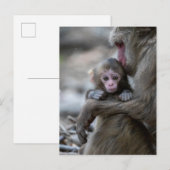 Kutest Baby Animals | Japanse aap en Baby Briefkaart (Voorkant / Achterkant)