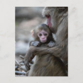 Kutest Baby Animals | Japanse aap en Baby Briefkaart (Voorkant)