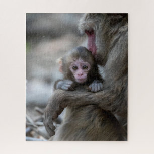 Kutest Baby Animals   Japanse aap en Baby Legpuzzel