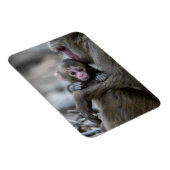 Kutest Baby Animals | Japanse aap en Baby Magneet (Rechterzijde)