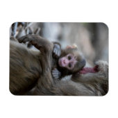 Kutest Baby Animals | Japanse aap en Baby Magneet (Horizontaal)
