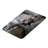 Kutest Baby Animals | Japanse aap en Baby Magneet (Linkerzijde)