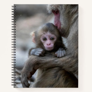 Kutest Baby Animals Japanse aap en Baby Notitieboek