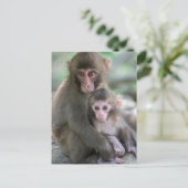 Kutest Baby Animals | Japanse apen Briefkaart (Staand voorkant)