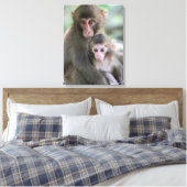 Kutest Baby Animals | Japanse apen Canvas Afdruk (Insitu (Slaapkamer))