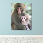 Kutest Baby Animals | Japanse apen Canvas Afdruk (Insitu (Houten vloer))