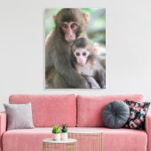 Kutest Baby Animals | Japanse apen Canvas Afdruk (Insitu (Woonkamer))
