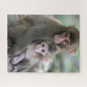 Kutest Baby Animals | Japanse apen Legpuzzel (Horizontaal)