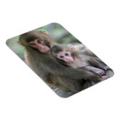 Kutest Baby Animals | Japanse apen Magneet (Rechterzijde)