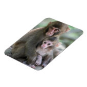 Kutest Baby Animals | Japanse apen Magneet (Linkerzijde)