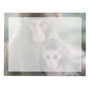 Kutest Baby Animals   Japanse apen Notitieblok