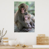 Kutest Baby Animals | Japanse apen Poster (Keuken)