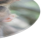 Kutest Baby Animals | Japanse apen Snijplank (Hoek)