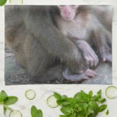 Kutest Baby Animals | Japanse apen Theedoek (Gevouwen)