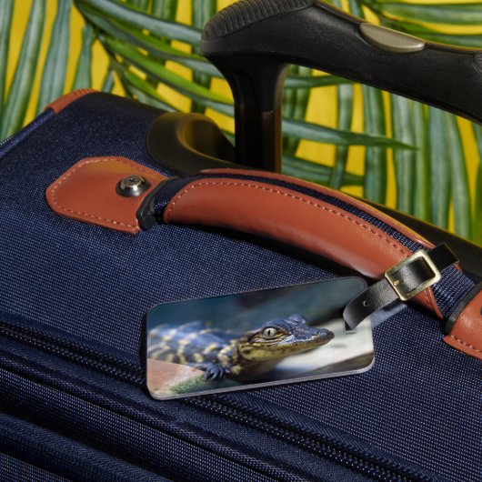 Kutest Baby Animals | Jonge Alligator Bagagelabel (Voorkant Insitu 3)