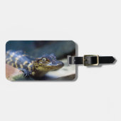 Kutest Baby Animals | Jonge Alligator Bagagelabel (Voorkant horizontaal)