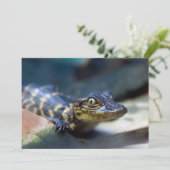 Kutest Baby Animals | Jonge Alligator Bedankkaart (Staand voorkant)