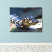 Kutest Baby Animals | Jonge Alligator Canvas Afdruk (Insitu (Houten vloer))