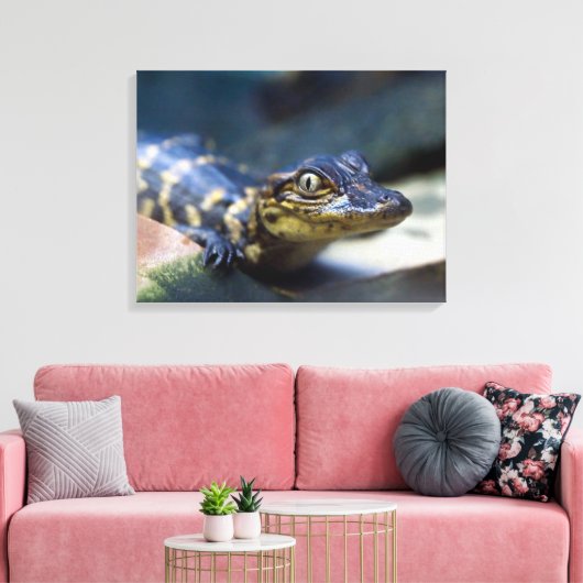 Kutest Baby Animals | Jonge Alligator Canvas Afdruk (Insitu (Woonkamer))