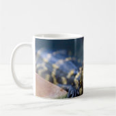 Kutest Baby Animals | Jonge Alligator Koffiemok (Links)