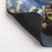 Kutest Baby Animals | Jonge Alligator Muismat (Hoek)