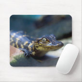Kutest Baby Animals | Jonge Alligator Muismat (Met muis)