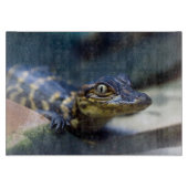 Kutest Baby Animals | Jonge Alligator Snijplank (Voorkant)