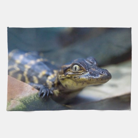 Kutest Baby Animals | Jonge Alligator Theedoek (Horizontaal)