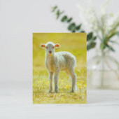 Kutest Baby Animals | Jonge schapen Briefkaart (Staand voorkant)