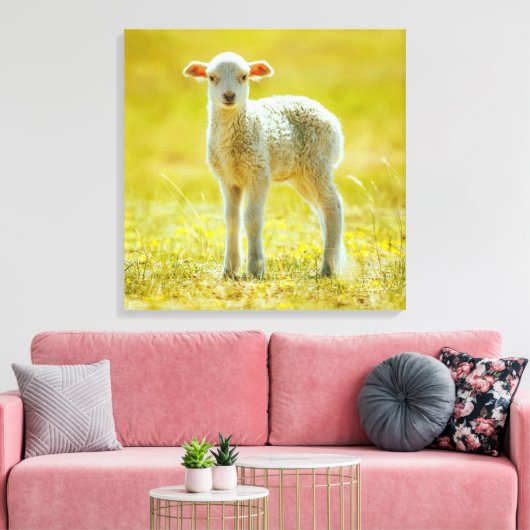 Kutest Baby Animals | Jonge schapen Canvas Afdruk (Insitu (Woonkamer))