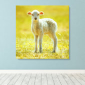 Kutest Baby Animals | Jonge schapen Canvas Afdruk (Insitu (Houten vloer))