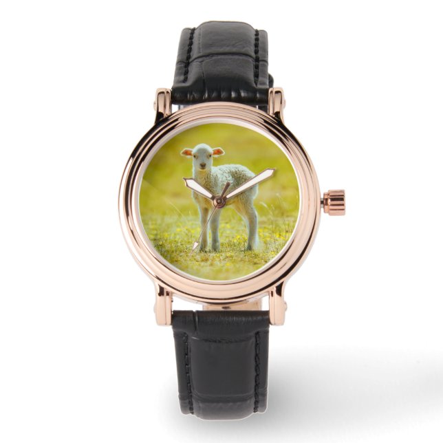 Kutest Baby Animals | Jonge schapen Horloge (Voorkant)