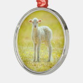 Kutest Baby Animals | Jonge schapen Metalen Ornament (Links)