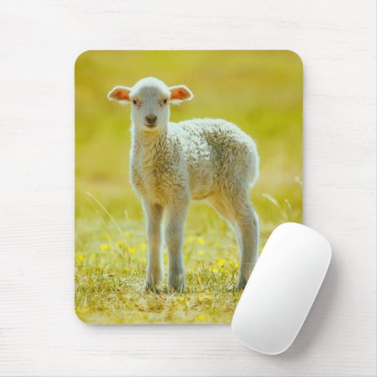 Kutest Baby Animals | Jonge schapen Muismat (Met muis)