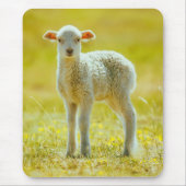 Kutest Baby Animals | Jonge schapen Muismat (Voorkant)