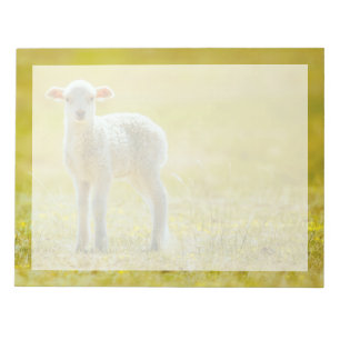 Kutest Baby Animals Jonge schapen Notitieblok