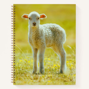 Kutest Baby Animals Jonge schapen Notitieboek