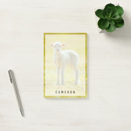 Kutest Baby Animals | Jonge schapen Post-it® Notes (Kantoor)